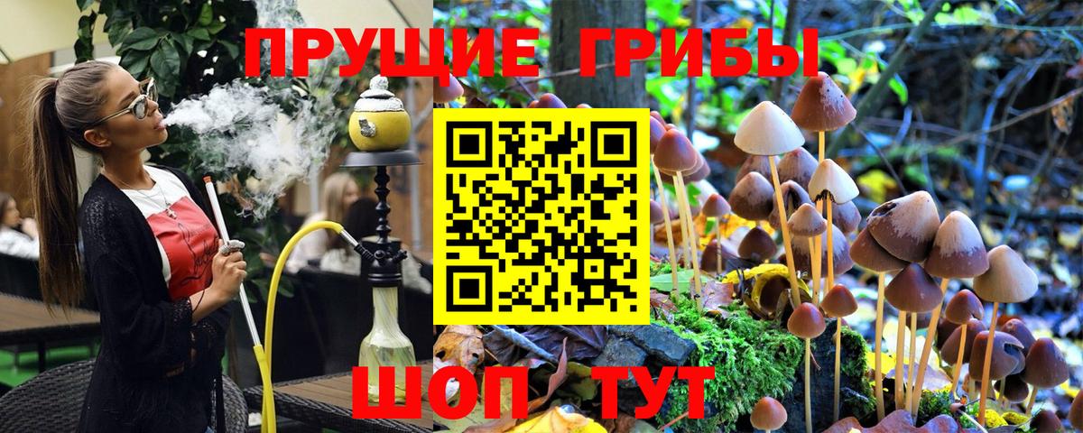 Людиново  Псилоцибиновые грибы прущие грибы  Галлюциногенные грибы MAGIC MUSHROOMS  Вход с VPN 
