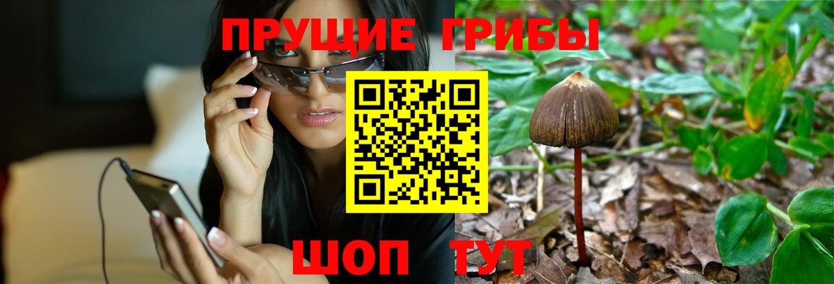 Галлюциногенные грибы MAGIC MUSHROOMS Людиново